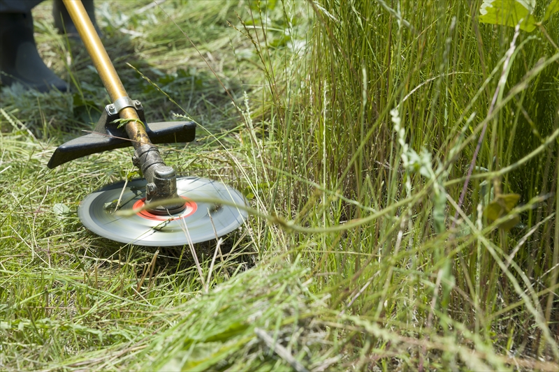 庭木のお手入れ・草刈り作業